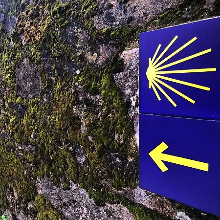 Apartment Centro P2 By Urent Padron