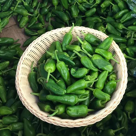 Apartment Centro P2 By Urent