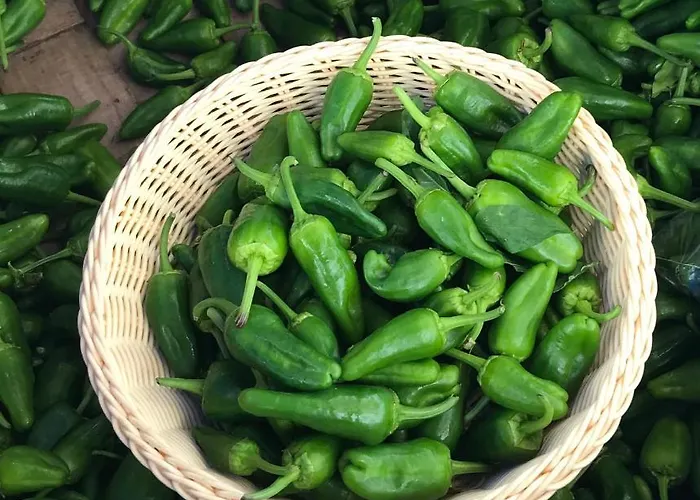 Appartement Centro P2 By Urent